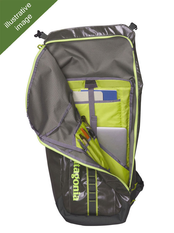 Patagonia Black Hole Pack 32L (Carbon) Daypack