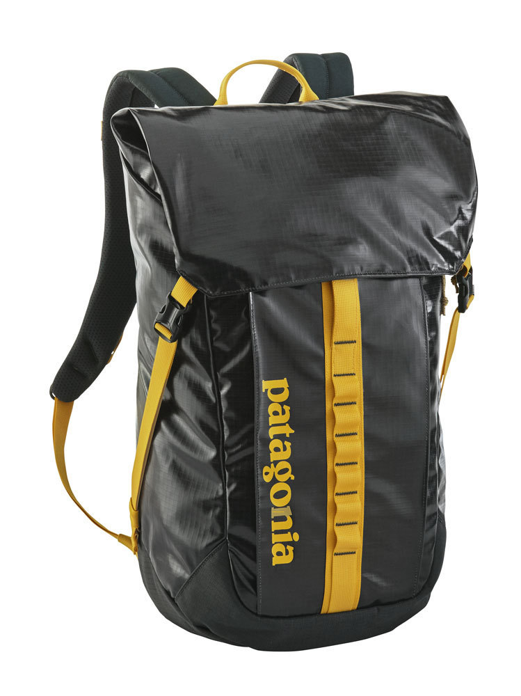 Patagonia Black Hole Pack 32L Carbon Daypack