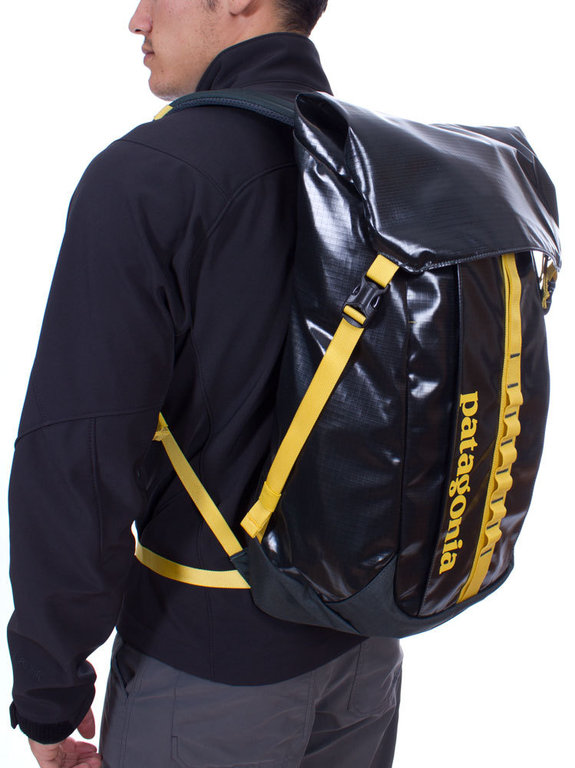 Patagonia Black Hole Pack 32L Carbon Daypack