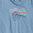 Patagonia Women's Raindrop Peak Organic V-Neck T-Shirt (Railroad Blue)