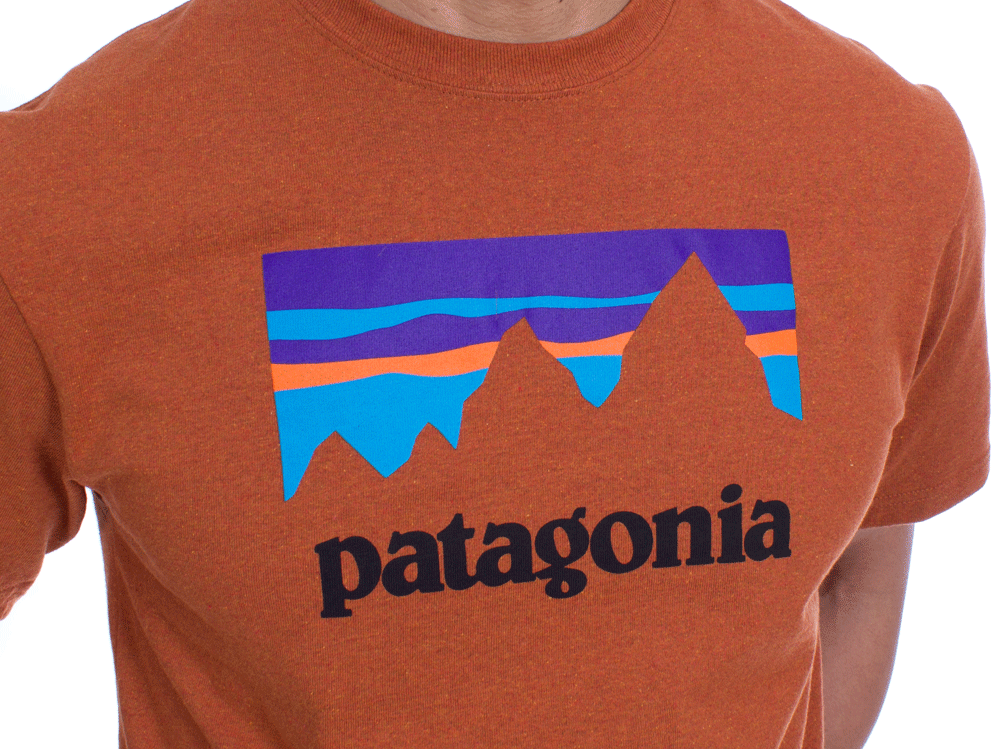 Patagonia shop top sticker tee