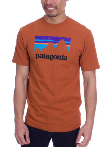 Patagonia Men's Shop Sticker Responsibili Tee (Copper Ore)