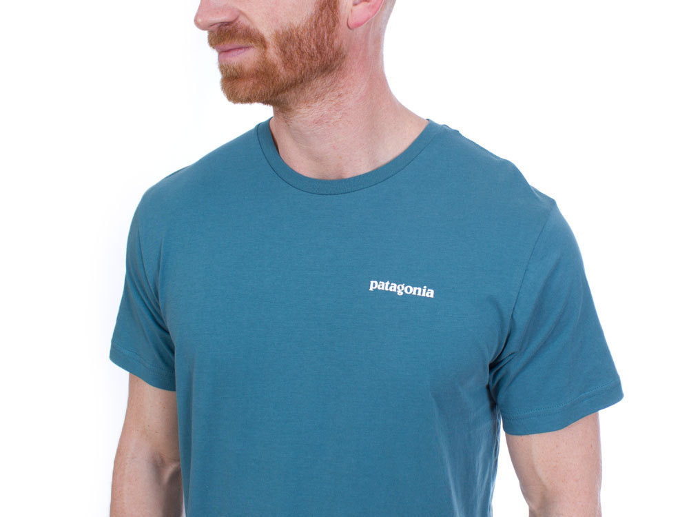 patagonia teal shirt