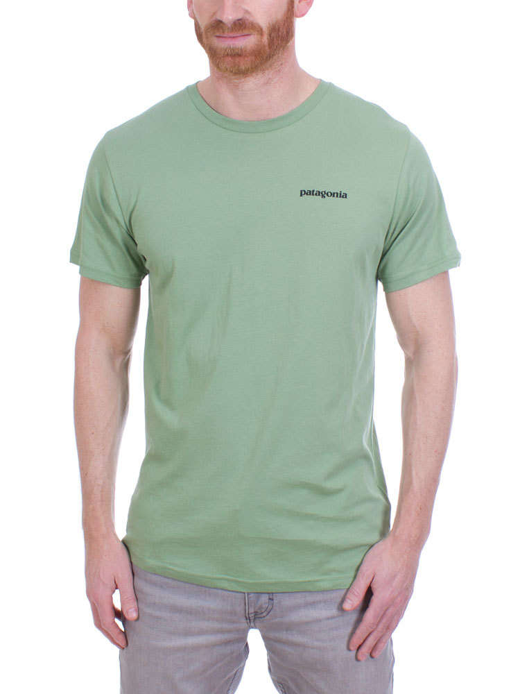 green patagonia t shirt