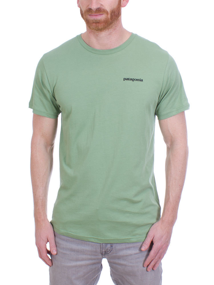 Patagonia green sales t shirt