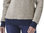 Patagonia Women's Woolyester Fleece P/O (Oatmeal)