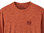 Patagonia Heren Cap Cool Daily Graphic Shirt (Alpine Icon: Sandhill Rust X-Dye)