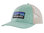 Patagonia P-6 Logo LoPro Trucker Hat (Gypsum Green)