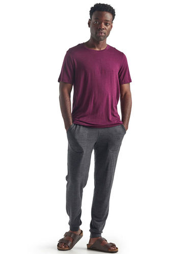 Icebreaker Men's Tech Lite SS Crewe (Brazilwood)