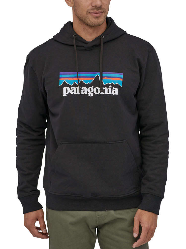 patagonia men's p 6 hoodie