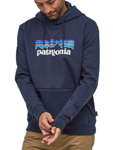 Patagonia navy hoodie store