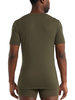 Icebreaker Men's Anatomica SS Crewe (Loden)