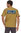 Patagonia Heren P-6 Logo Responsibili Tee (Hawk Gold)