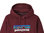 Patagonia Heren P-6 Logo Uprisal Hoody (Sequoia Red)