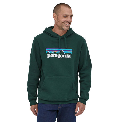 Patagonia hoodie cheap sale