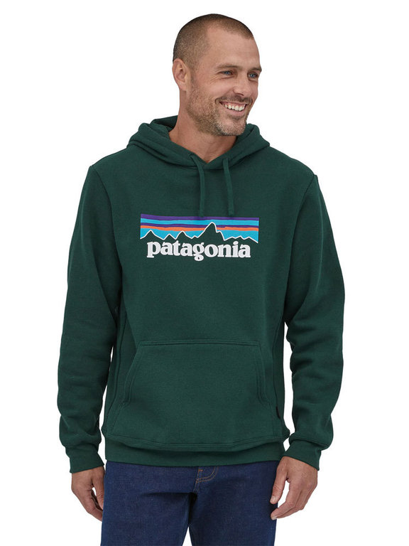 Patagonia p6 discount hoodie grey
