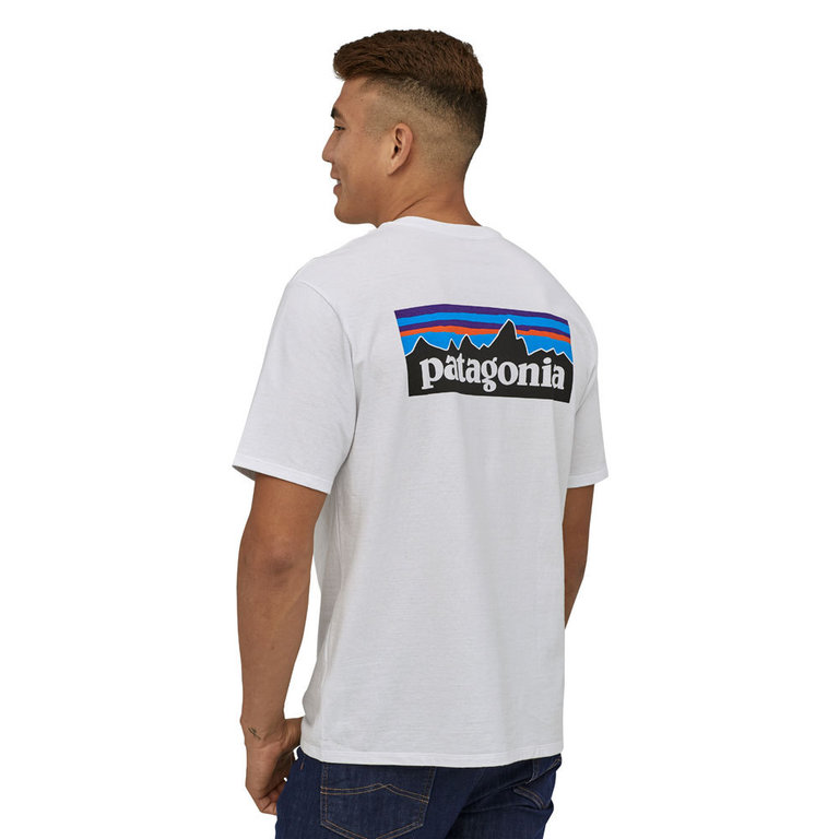 Patagonia t shirt best sale p6