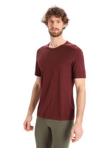 Icebreaker Men's 200 Oasis SS Crewe (Espresso)