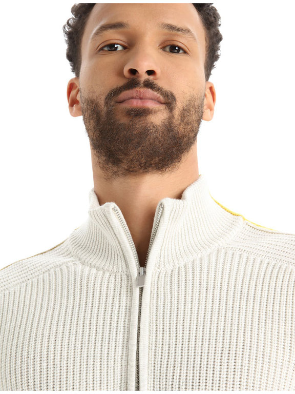 Icebreaker mens sweater store