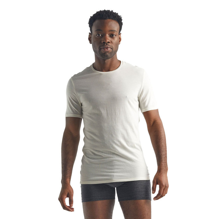 Geniet Airco Nauwkeurigheid Icebreaker Men's Anatomica SS Crewe (Snow) Shirt
