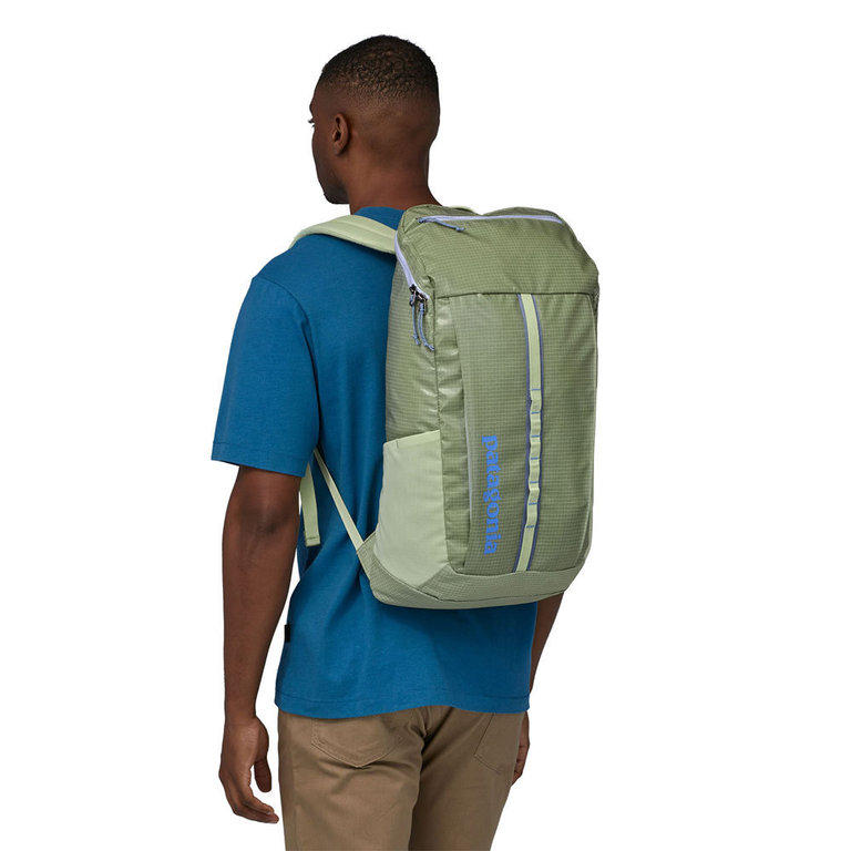 Patagonia black shop hole 25l