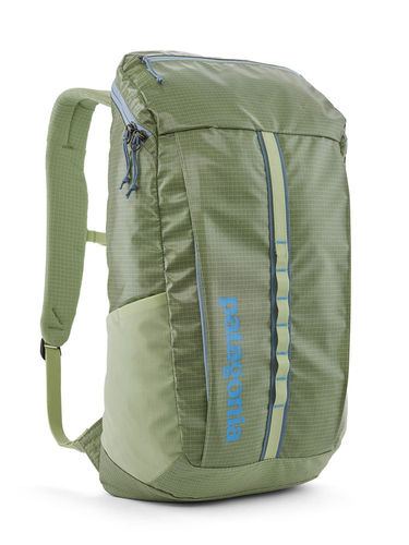 Patagonia Black Hole Pack 25L (Friend Green)