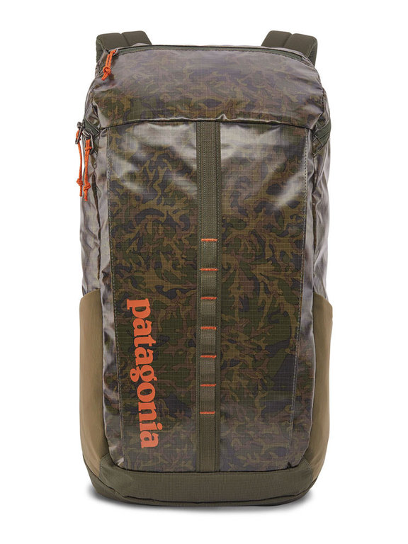 Patagonia Black Hole Pack 25L Lichen Basic Green Daypack