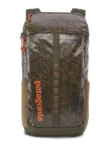 Patagonia Black Hole Pack 25L (Lichen: Basic Green)