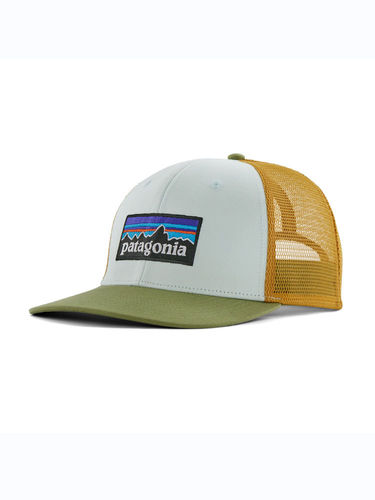 Patagonia P-6 Logo Trucker Hat (Wispy Green)