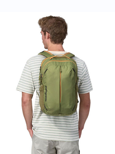 Patagonia Refugio Day Pack 26 L (Buckhorn Green)