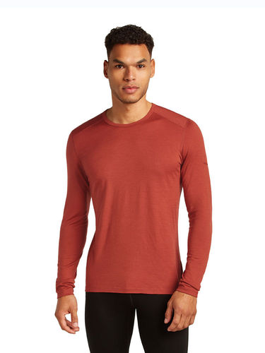 Icebreaker Men's 200 Oasis LS Crewe (Jasper)