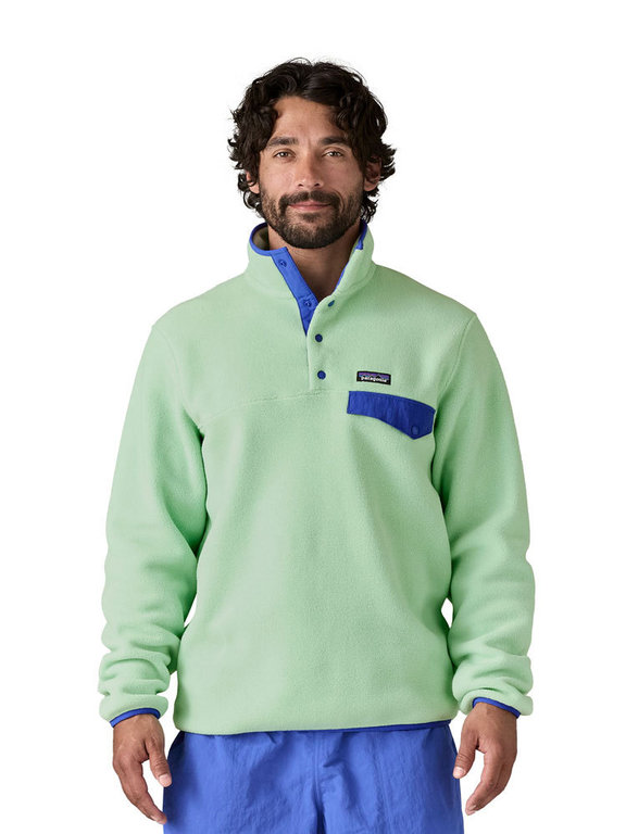 Patagonia Men's Lightweight Synchilla Snap-T Fleece Pullover (Rinsed Green)