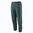 Patagonia Women's Hampi Rock Pants (Tidal Teal)