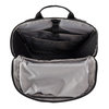 Patagonia Black Hole Pack 25L (Pufferfish Gold w/Beeswax Tan)