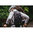 Jack Wolfskin Moab Jam 16 Pack (Flash Black)