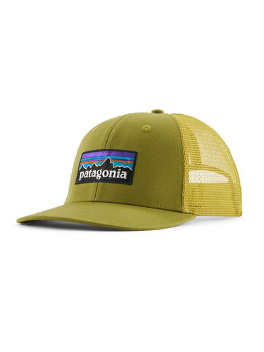 Patagonia P-6 Logo Trucker Hat (Graze Green)