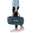 Patagonia Black Hole Duffel 40L (Tidal Teal)