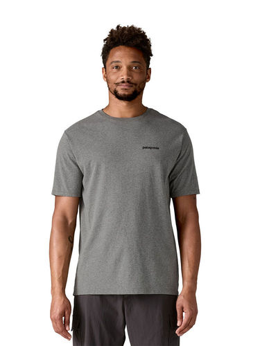 Patagonia Fitz Roy Icon Responsibili-Tee (Gravel Heather)