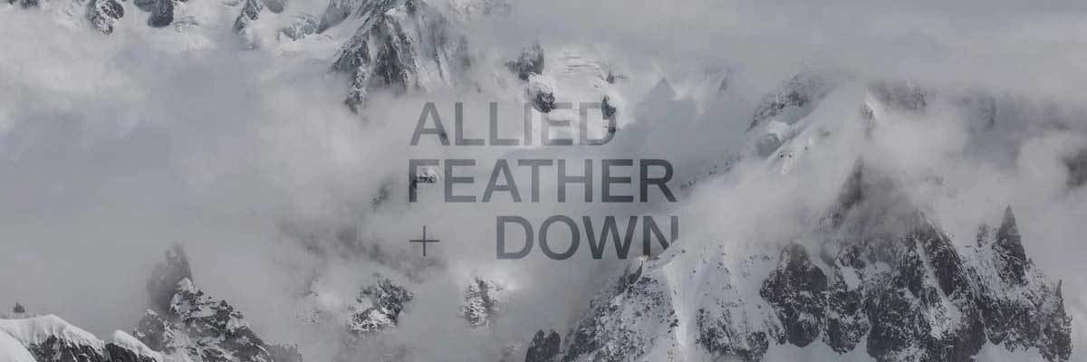 Allied Feather Down