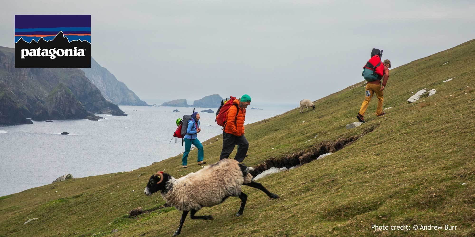 Patagonia-SS2026_jpg